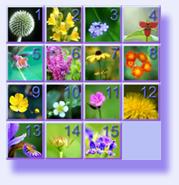 Picture Puzzle